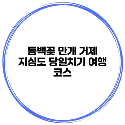 동백꽃 만개 거제 지심도 당일치기 여행 코스