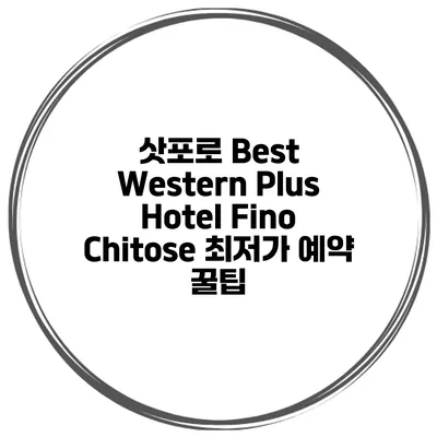 삿포로 Best Western Plus Hotel Fino Chitose 최저가 예약 꿀팁