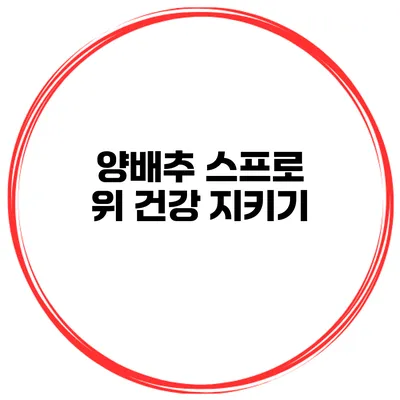 양배추 스프로 위 건강 지키기