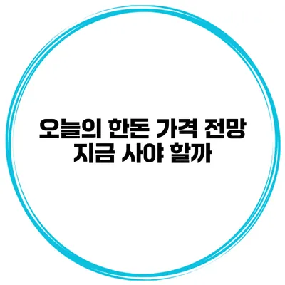 오늘의 한돈 가격 전망 지금 사야 할까?