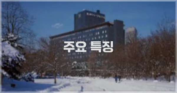✨ 주요 특징