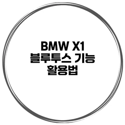 BMW X1 블루투스 기능 활용법