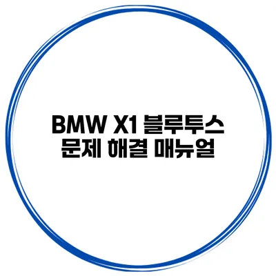 BMW X1 블루투스 문제 해결 매뉴얼