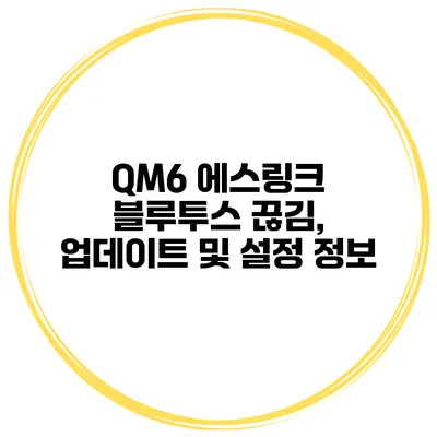 QM6 에스링크 블루투스 끊김, 업데이트 및 설정 정보