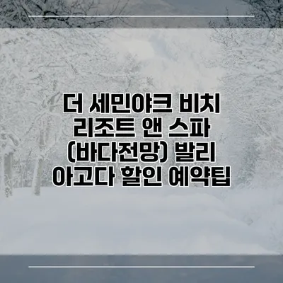 더 세민야크 비치 리조트 앤 스파 (바다전망) 발리 아고다 할인 예약팁