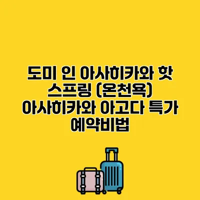 도미 인 아사히카와 핫 스프링 (온천욕) 아사히카와 아고다 특가 예약비법