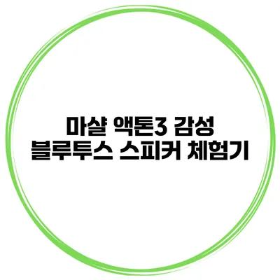 마샬 액톤3 감성 블루투스 스피커 체험기