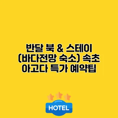 반달 북 & 스테이 (바다전망 숙소) 속초 아고다 특가 예약팁