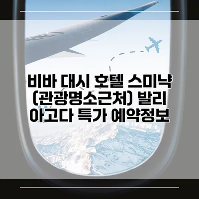 비바 대시 호텔 스미냑 (관광명소근처) 발리 아고다 특가 예약정보