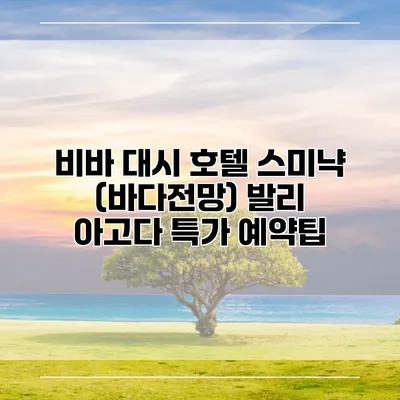 비바 대시 호텔 스미냑 (바다전망) 발리 아고다 특가 예약팁