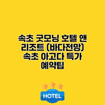 속초 굿모닝 호텔 앤 리조트 (바다전망) 속초 아고다 특가 예약팁