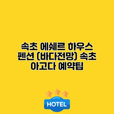 속초 에쉐르 하우스 펜션 (바다전망) 속초 아고다 예약팁