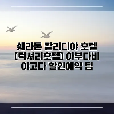쉐라톤 칼리디야 호텔 (럭셔리호텔) 아부다비 아고다 할인예약 팁