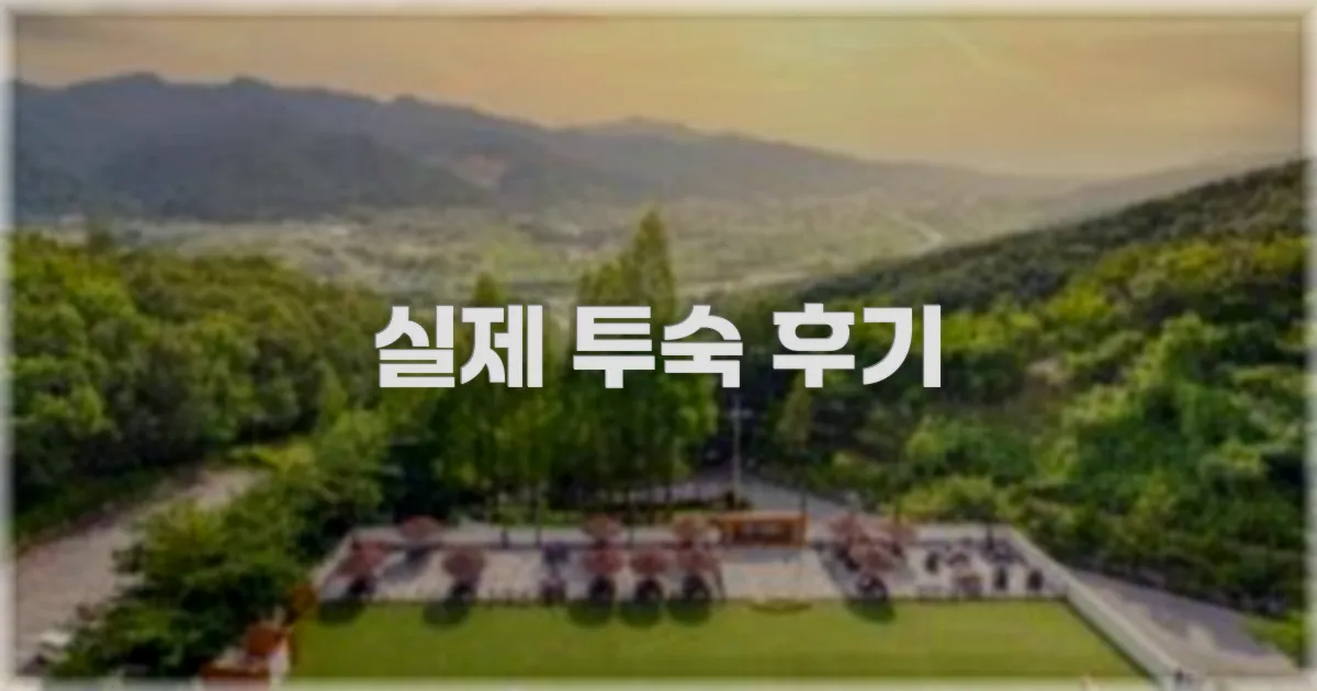 💬 실제 투숙 후기