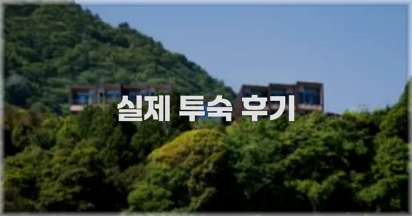 💬 실제 투숙 후기