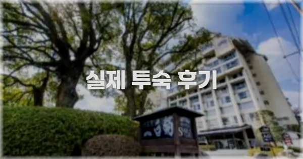 💬 실제 투숙 후기