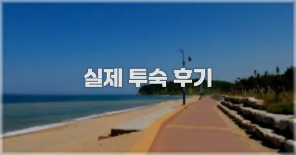 💬 실제 투숙 후기