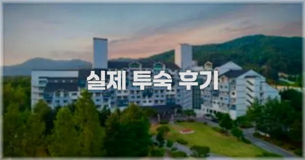 💬 실제 투숙 후기