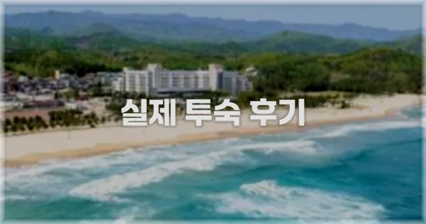 💬 실제 투숙 후기