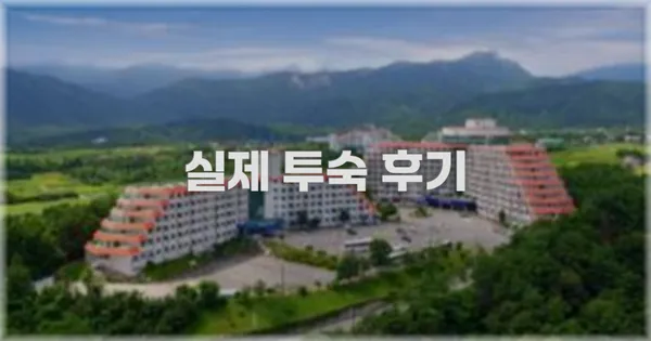 💬 실제 투숙 후기