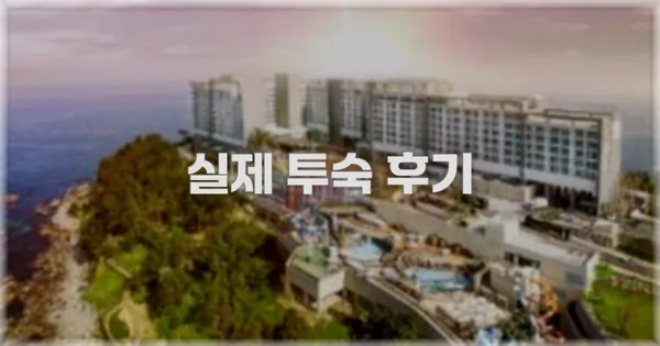 💬 실제 투숙 후기