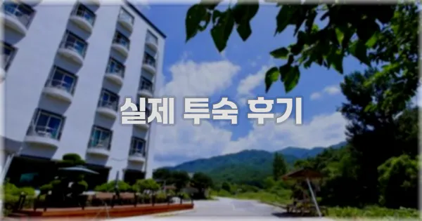 💬 실제 투숙 후기