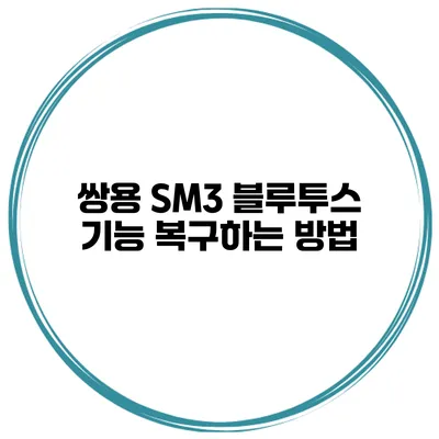 쌍용 SM3 블루투스 기능 복구하는 방법
