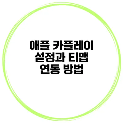 애플 카플레이 설정과 티맵 연동 방법