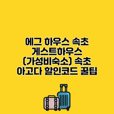 에그 하우스 속초 게스트하우스 (가성비숙소) 속초 아고다 할인코드 꿀팁