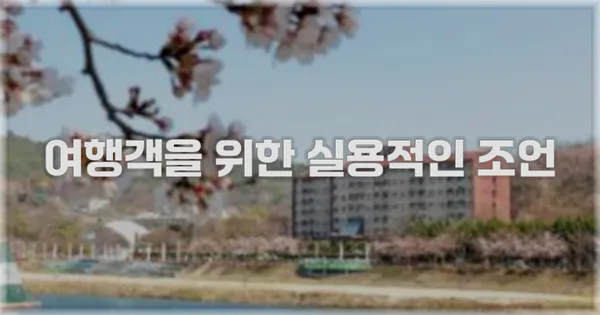여행객을 위한 실용적인 조언