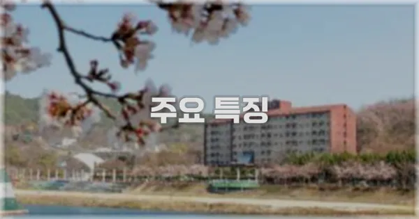 ✨ 주요 특징