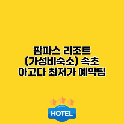 팜파스 리조트 (가성비숙소) 속초 아고다 최저가 예약팁